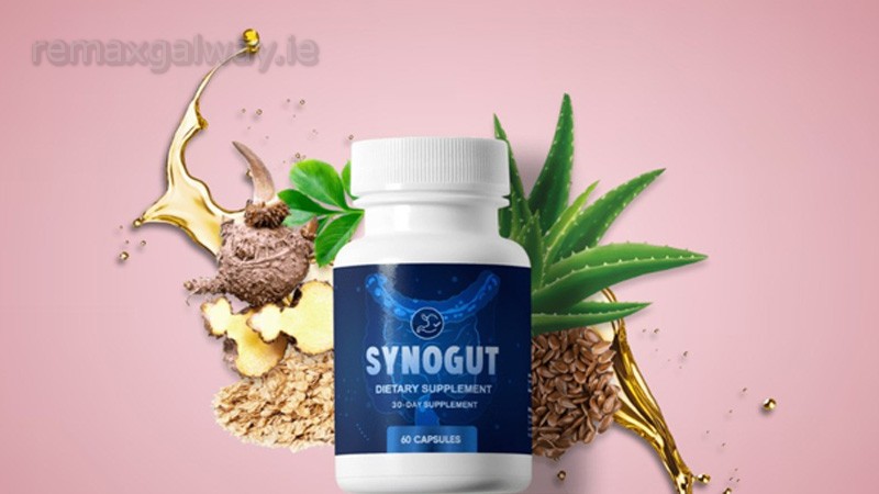 Synogut Overview